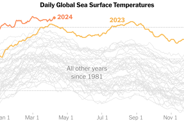 Ocean Heat Has Shattered Records for More Than a Year. What’s Happening?